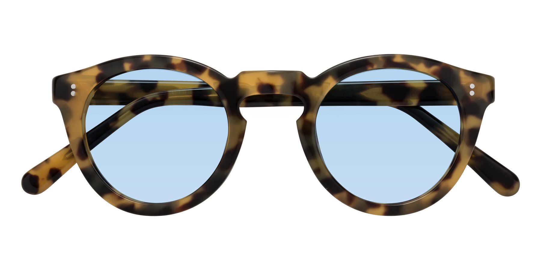 Folded Front of Annie in Golden Tortoise with Light Blue Tinted Lenses