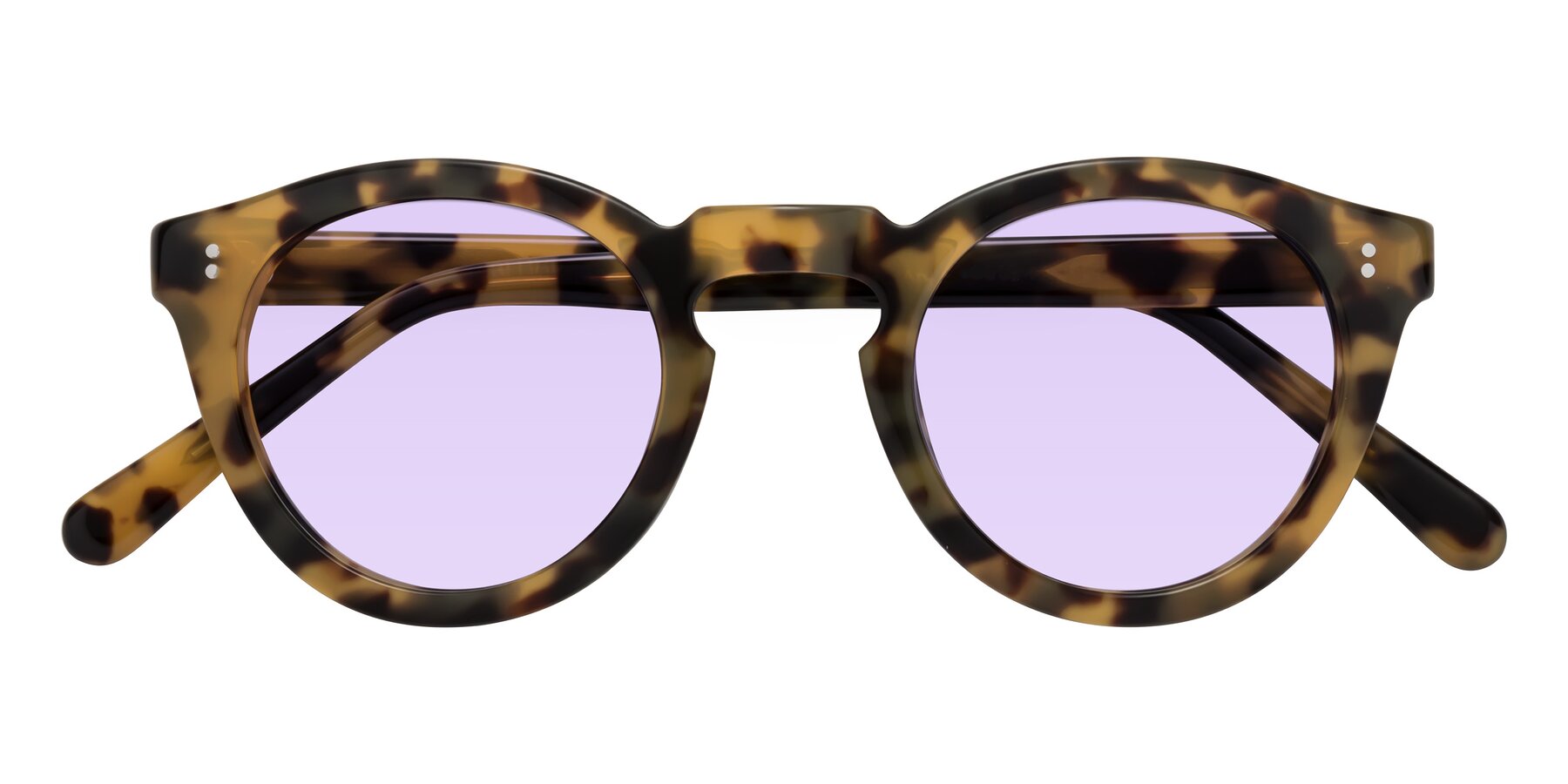 Folded Front of Annie in Golden Tortoise with Light Purple Tinted Lenses