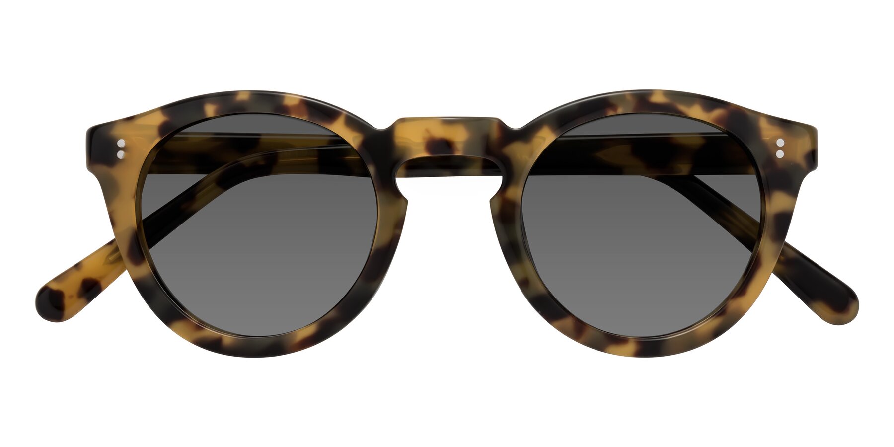 Folded Front of Annie in Golden Tortoise with Medium Gray Tinted Lenses