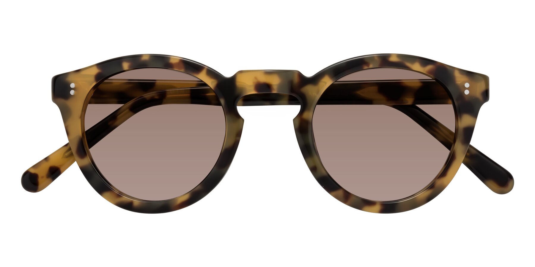 Folded Front of Annie in Golden Tortoise with Medium Brown Tinted Lenses