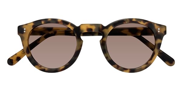 Front of Annie in Golden Tortoise