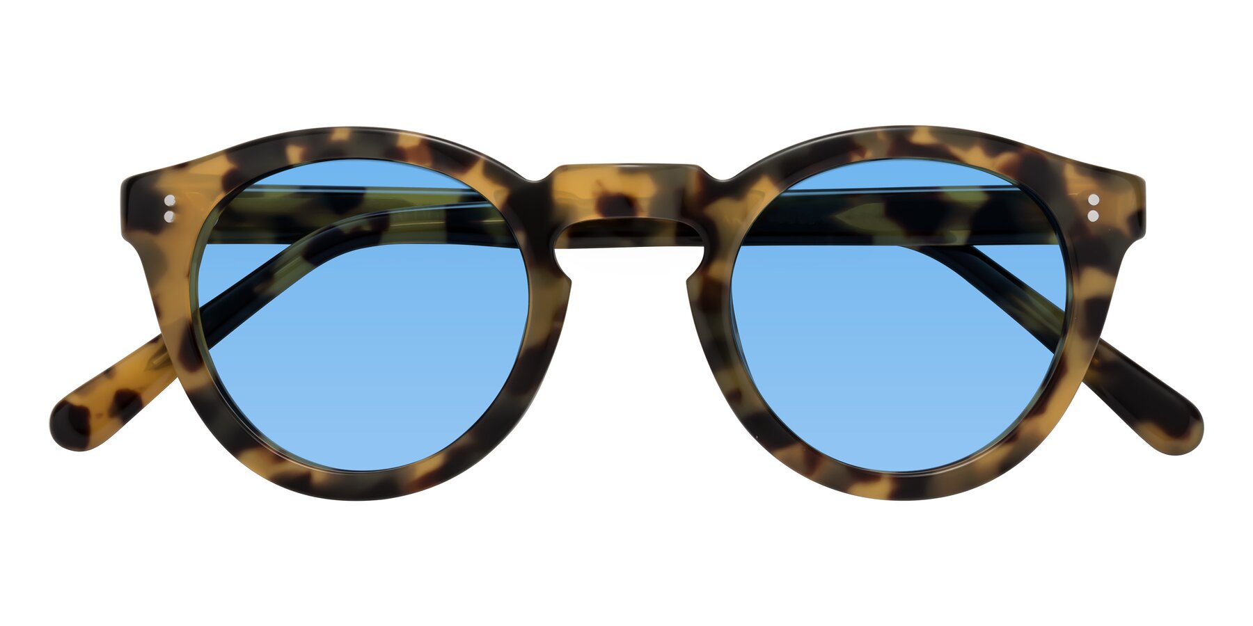 Folded Front of Annie in Golden Tortoise with Medium Blue Tinted Lenses