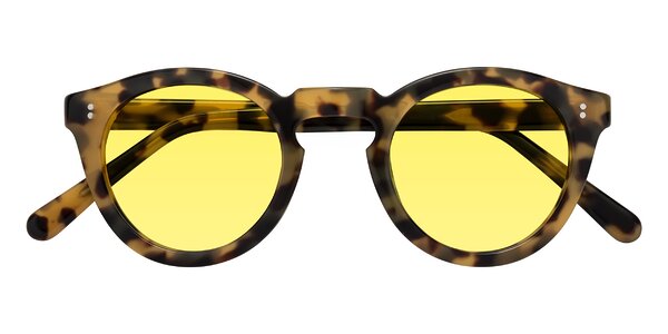Front of Annie in Golden Tortoise