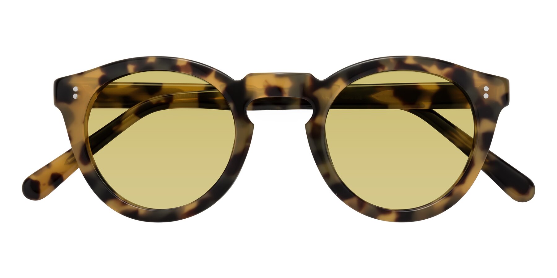 Folded Front of Annie in Golden Tortoise with Medium Champagne Tinted Lenses