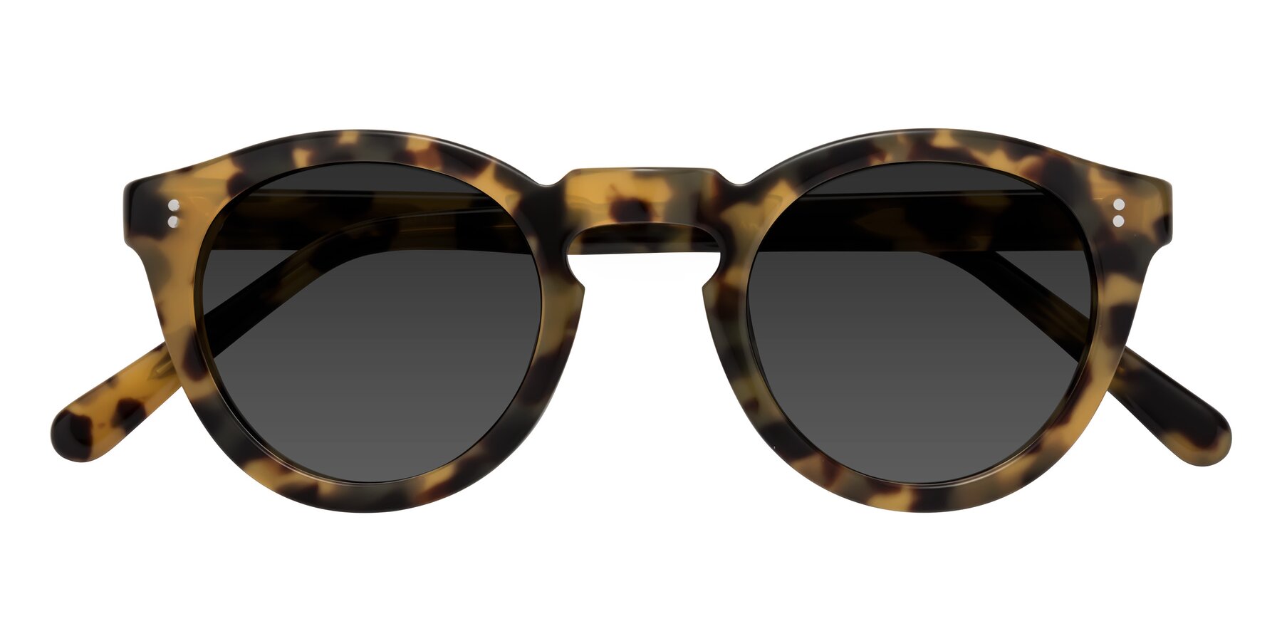 Folded Front of Annie in Golden Tortoise with Gray Tinted Lenses