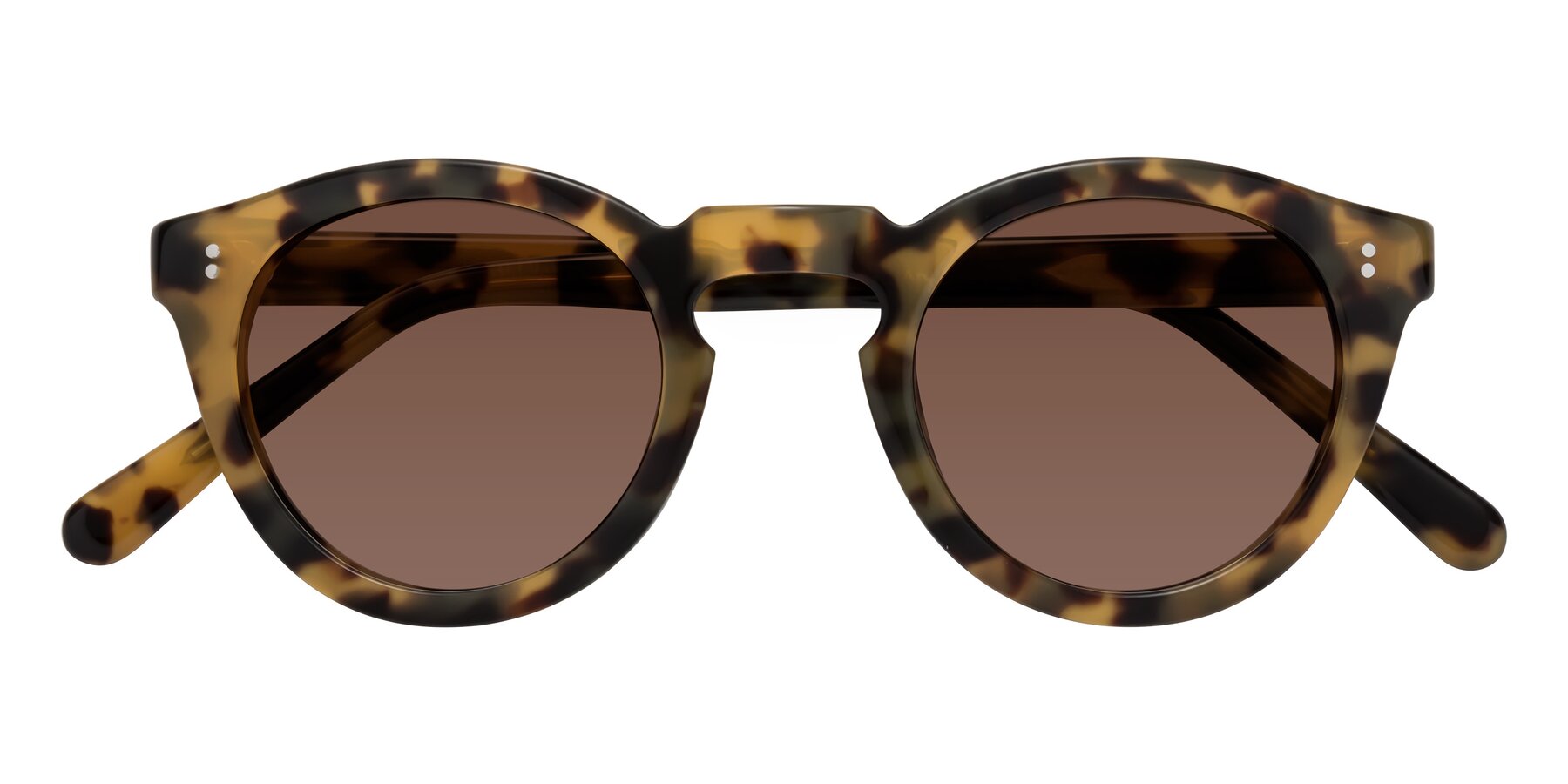 Folded Front of Annie in Golden Tortoise with Brown Tinted Lenses