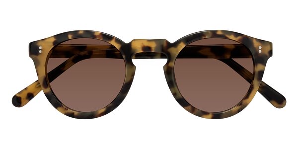 Front of Annie in Golden Tortoise