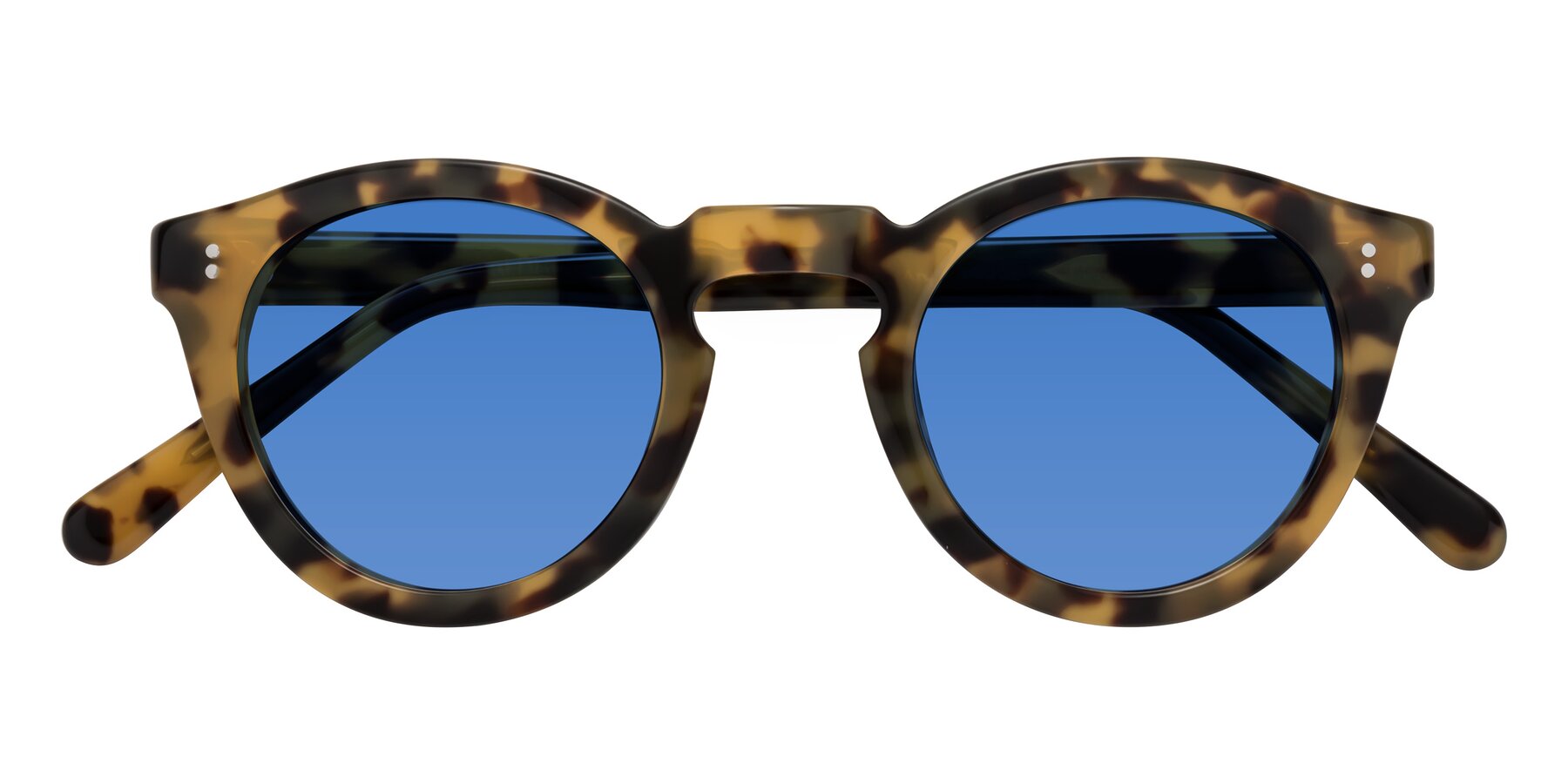 Folded Front of Annie in Golden Tortoise with Blue Tinted Lenses