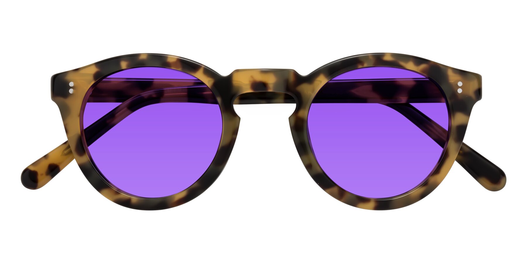 Folded Front of Annie in Golden Tortoise with Purple Tinted Lenses