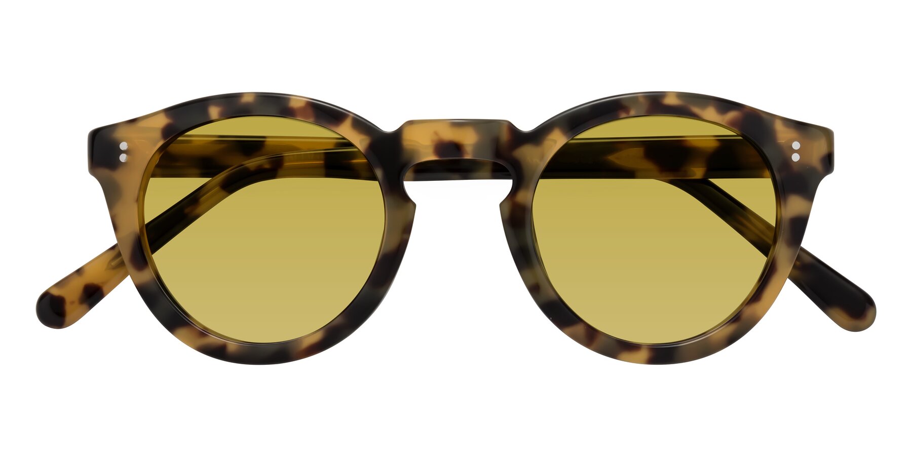 Folded Front of Annie in Golden Tortoise with Champagne Tinted Lenses