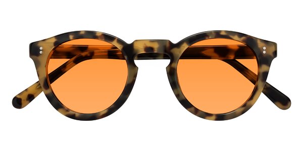 Front of Annie in Golden Tortoise