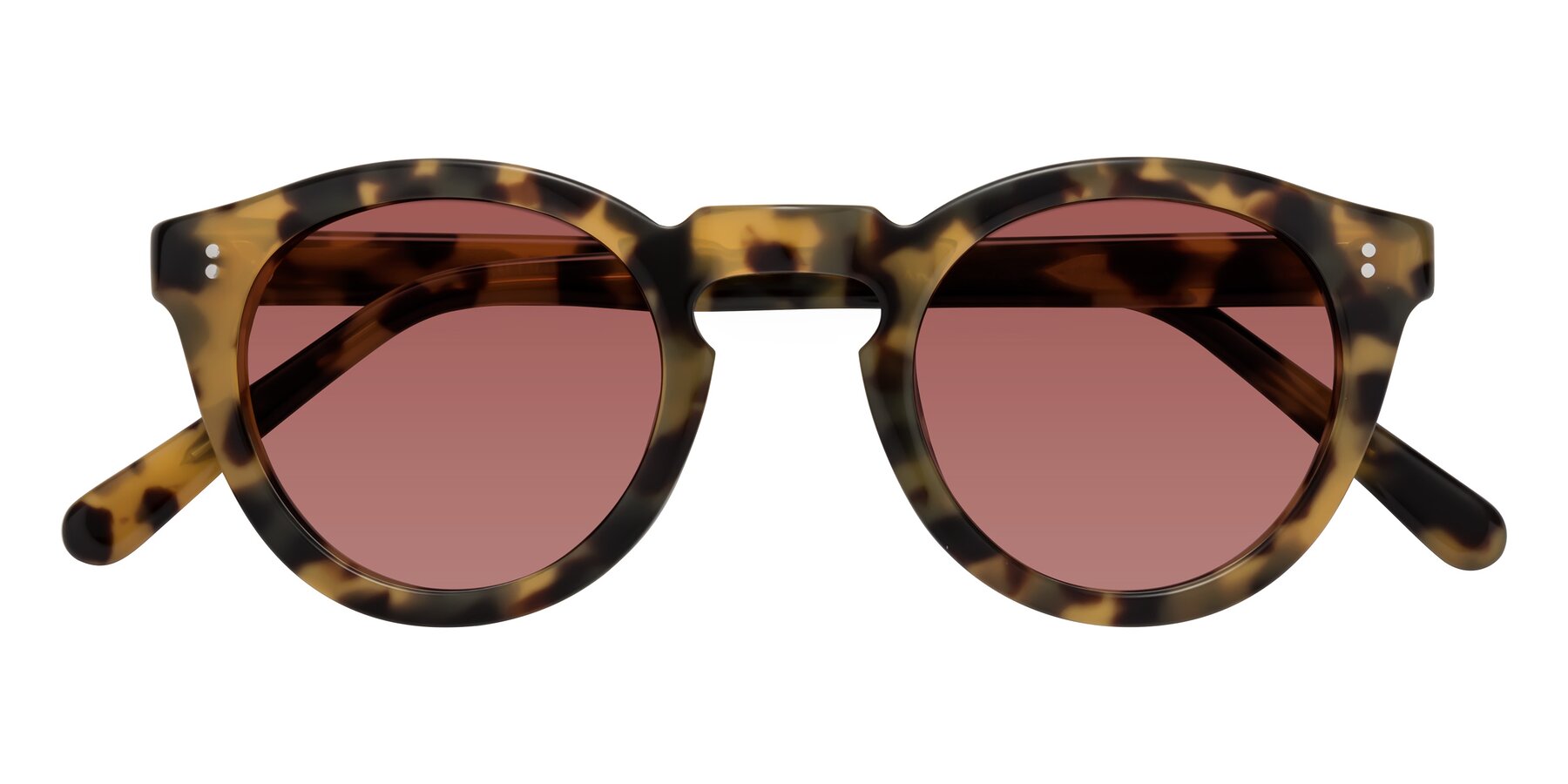 Folded Front of Annie in Golden Tortoise with Garnet Tinted Lenses
