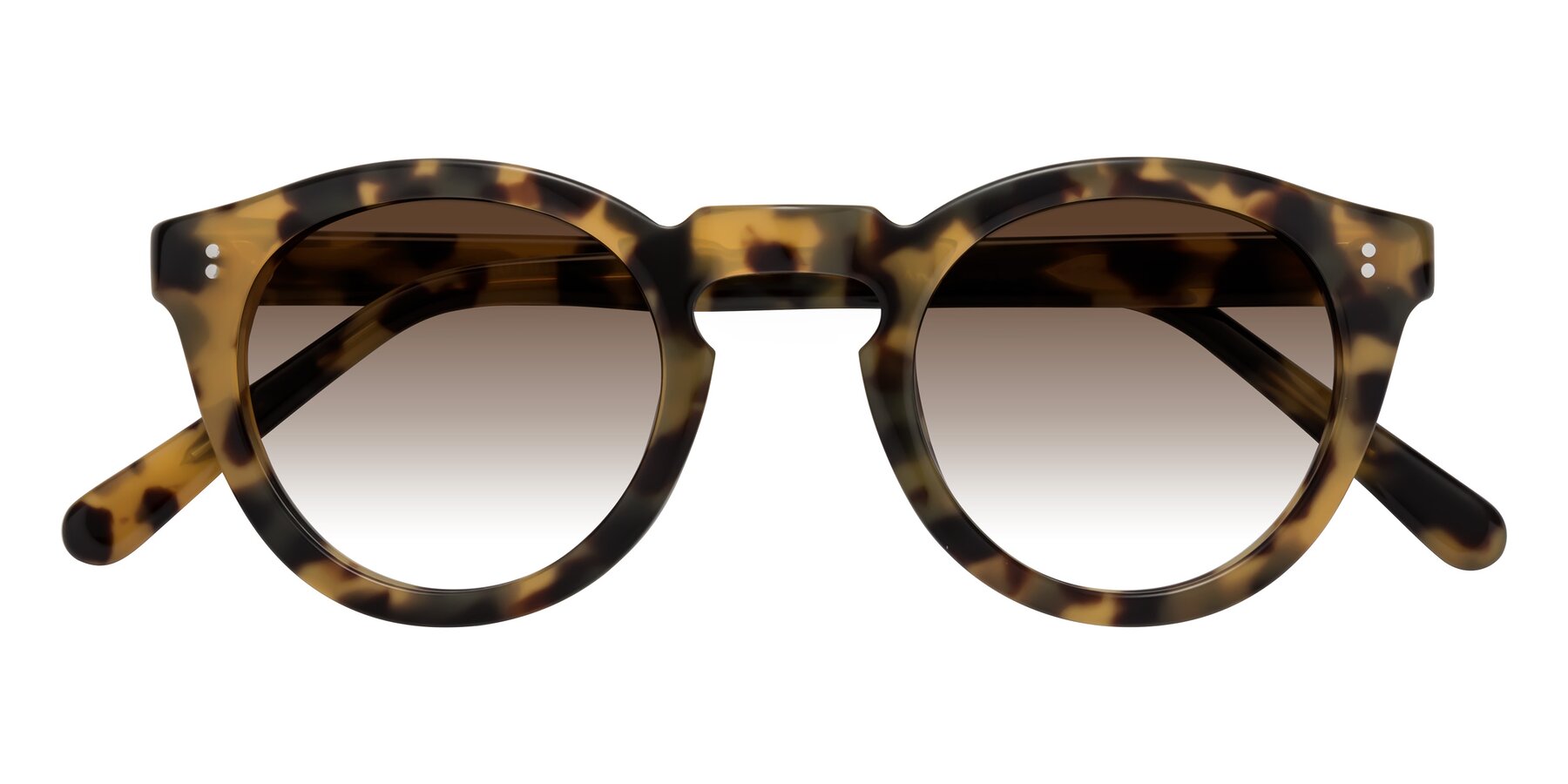 Folded Front of Annie in Golden Tortoise with Brown Gradient Lenses