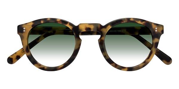 Front of Annie in Golden Tortoise