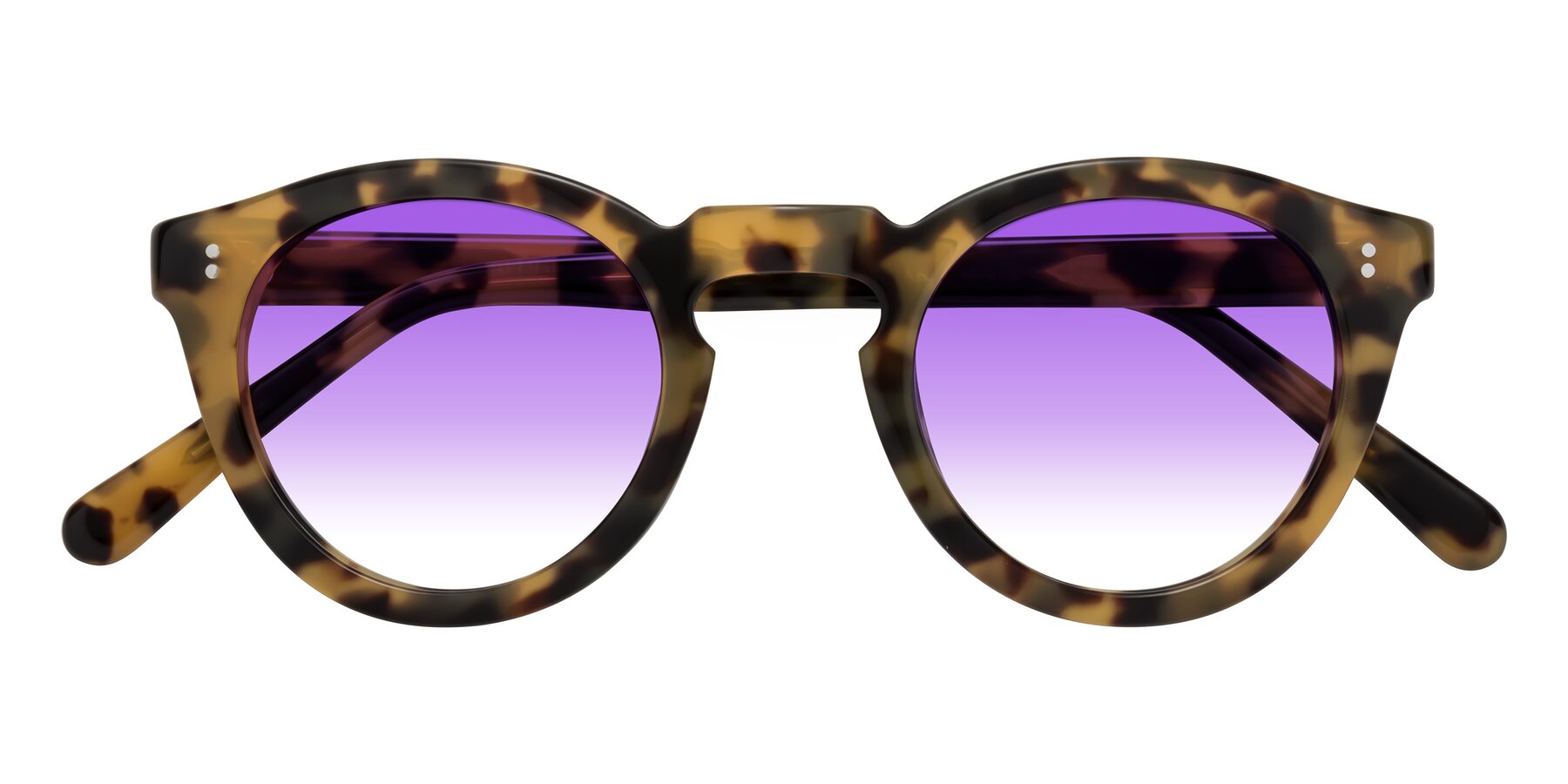 Folded Front of Annie in Golden Tortoise with Purple Gradient Lenses