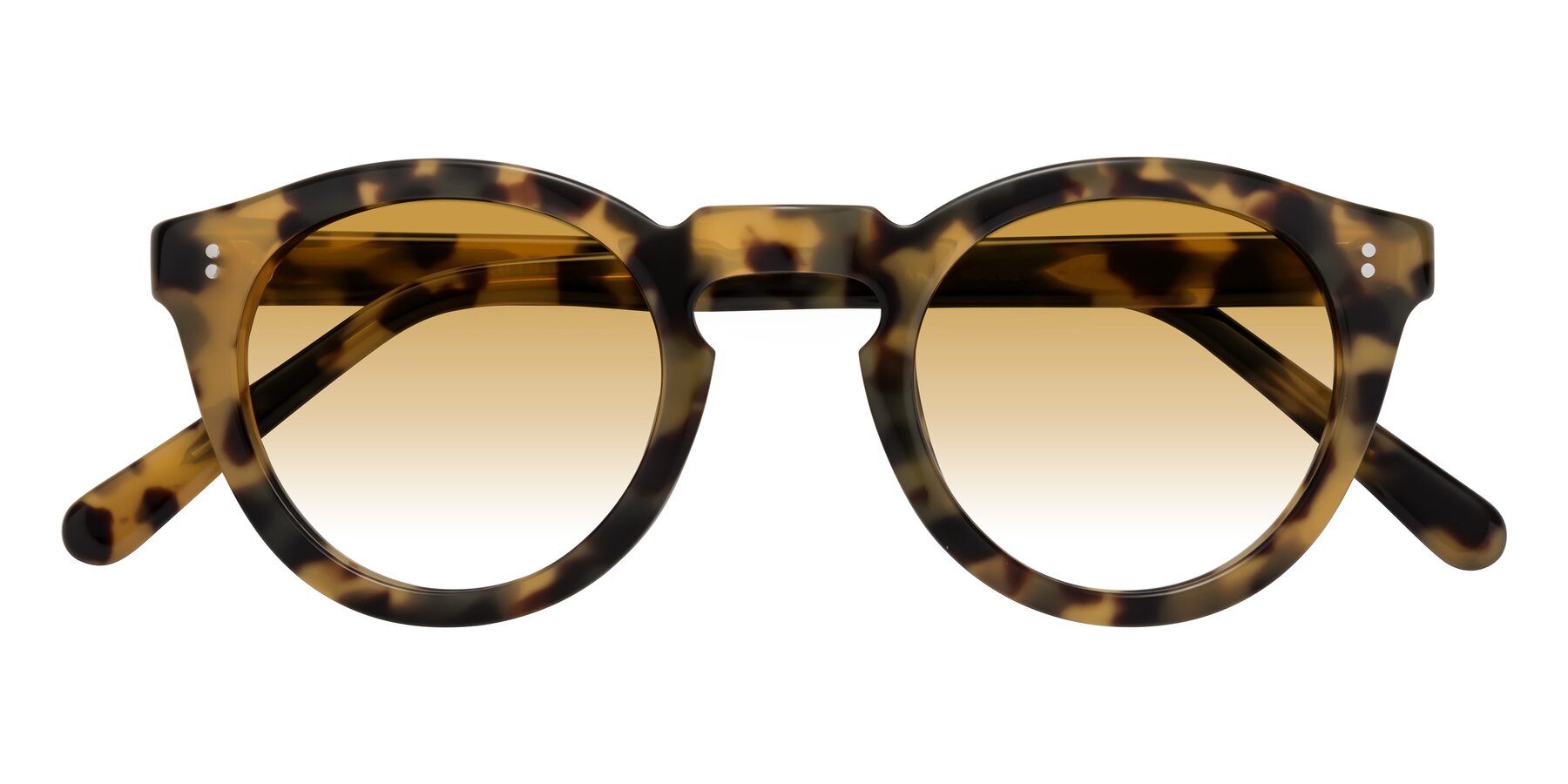 Folded Front of Annie in Golden Tortoise with Champagne Gradient Lenses