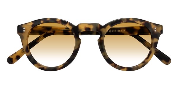 Front of Annie in Golden Tortoise