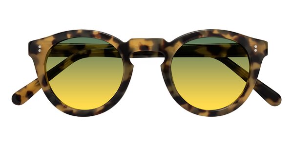 Front of Annie in Golden Tortoise