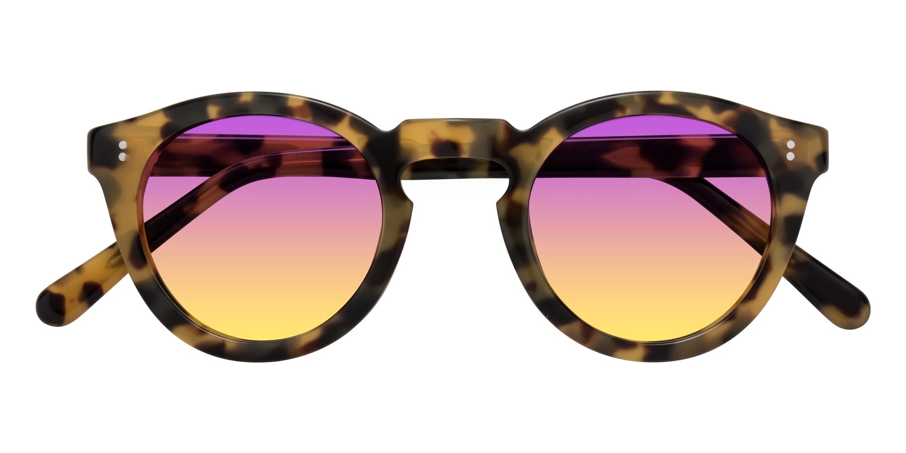Folded Front of Annie in Golden Tortoise with Purple / Yellow Gradient Lenses