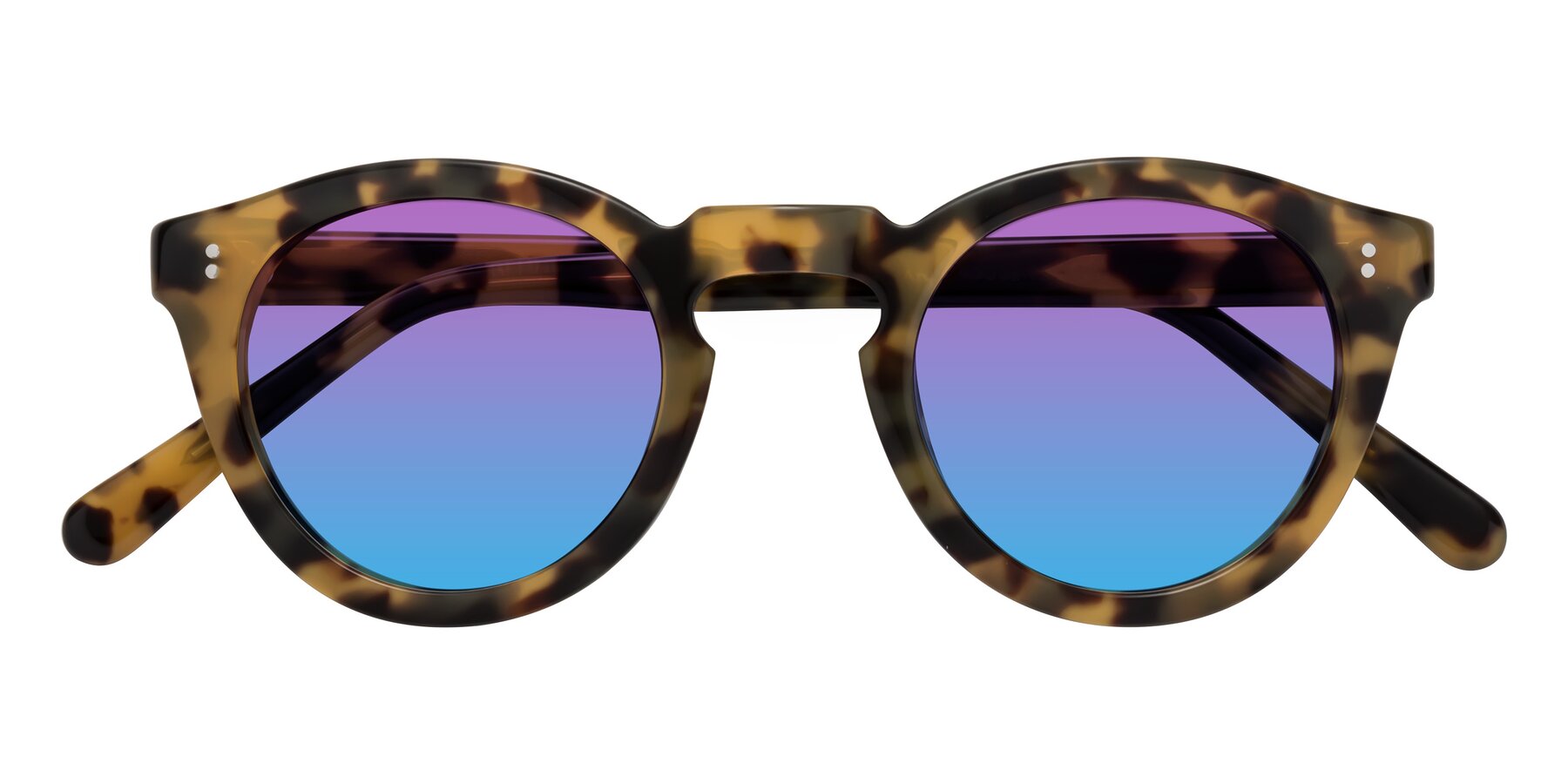 Folded Front of Annie in Golden Tortoise with Purple / Blue Gradient Lenses