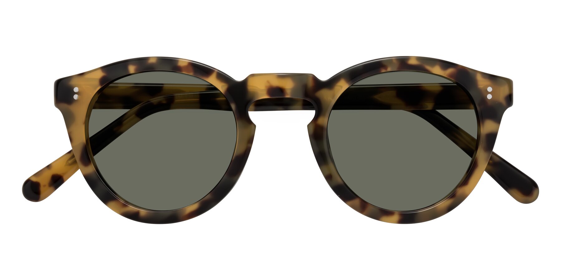 Folded Front of Annie in Golden Tortoise with Gray Polarized Lenses
