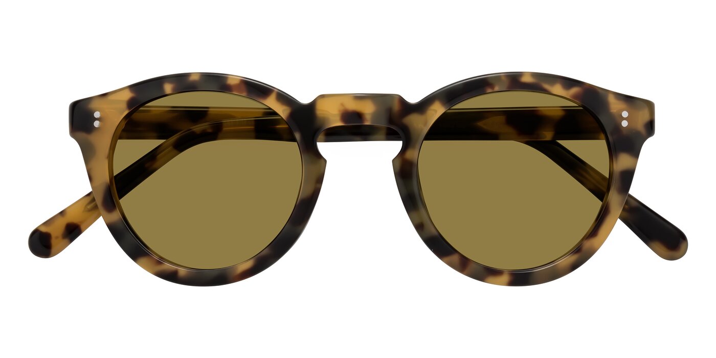 Annie - Golden Tortoise Polarized Sunglasses