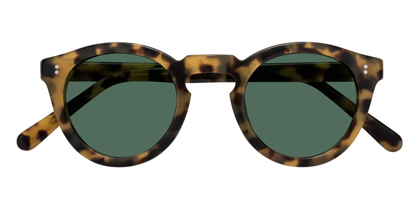 Annie - Golden Tortoise Polarized Sunglasses