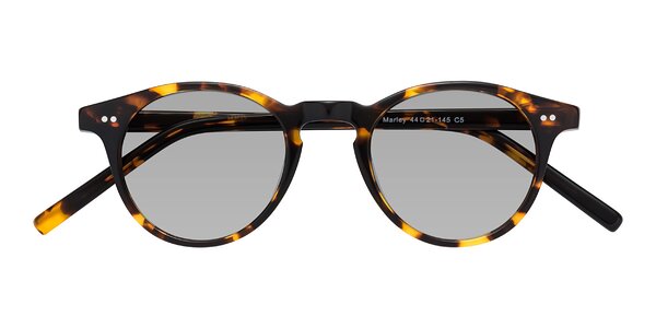 Front of Marley in Tortoise