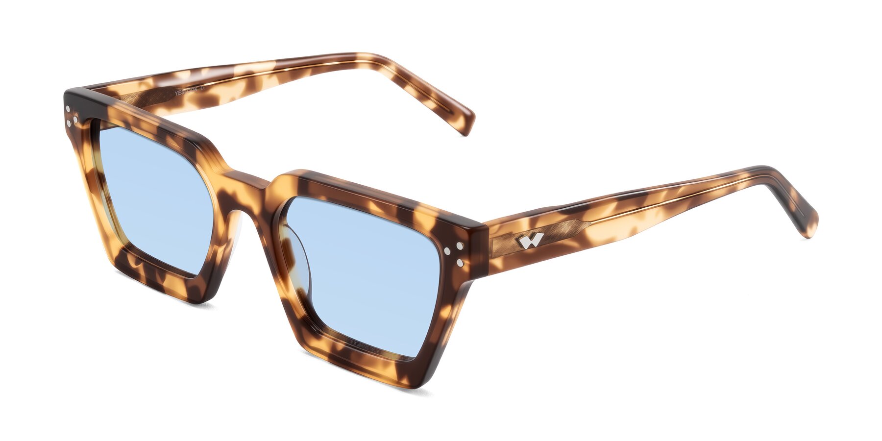 Angle of Callan in Honey Tortoise with Light Blue Tinted Lenses