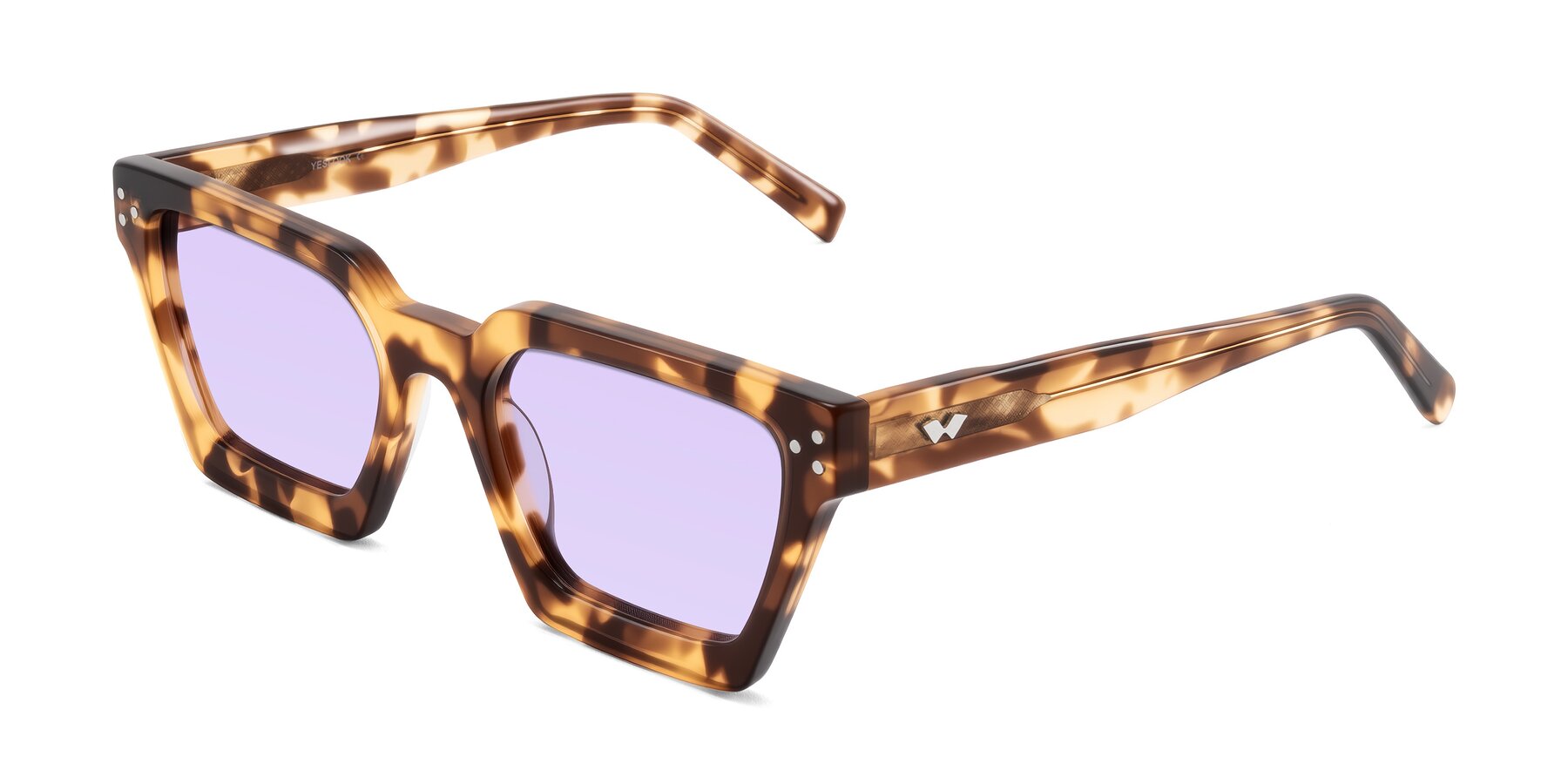 Angle of Callan in Honey Tortoise with Light Purple Tinted Lenses