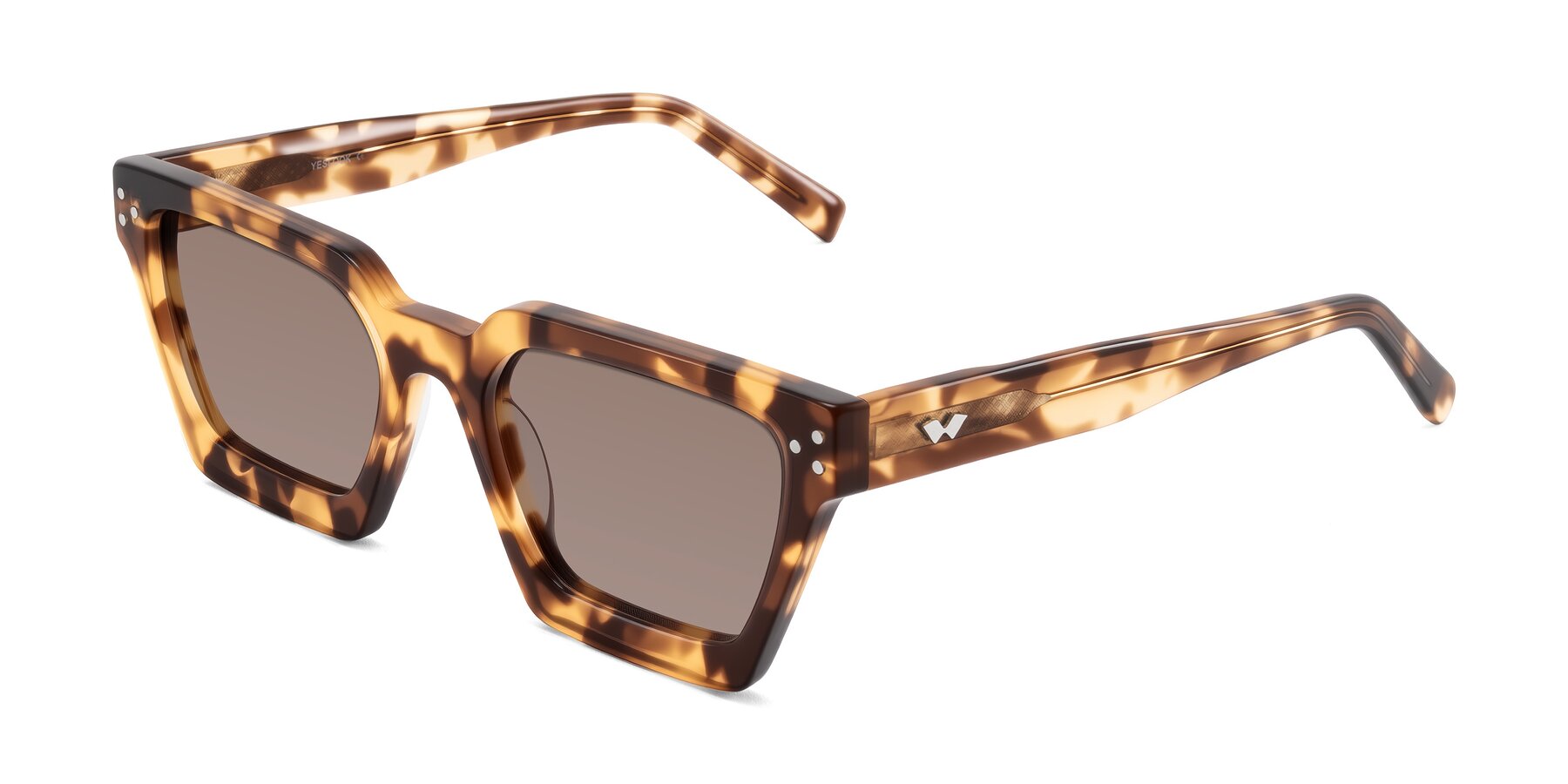 Angle of Callan in Honey Tortoise with Medium Brown Tinted Lenses