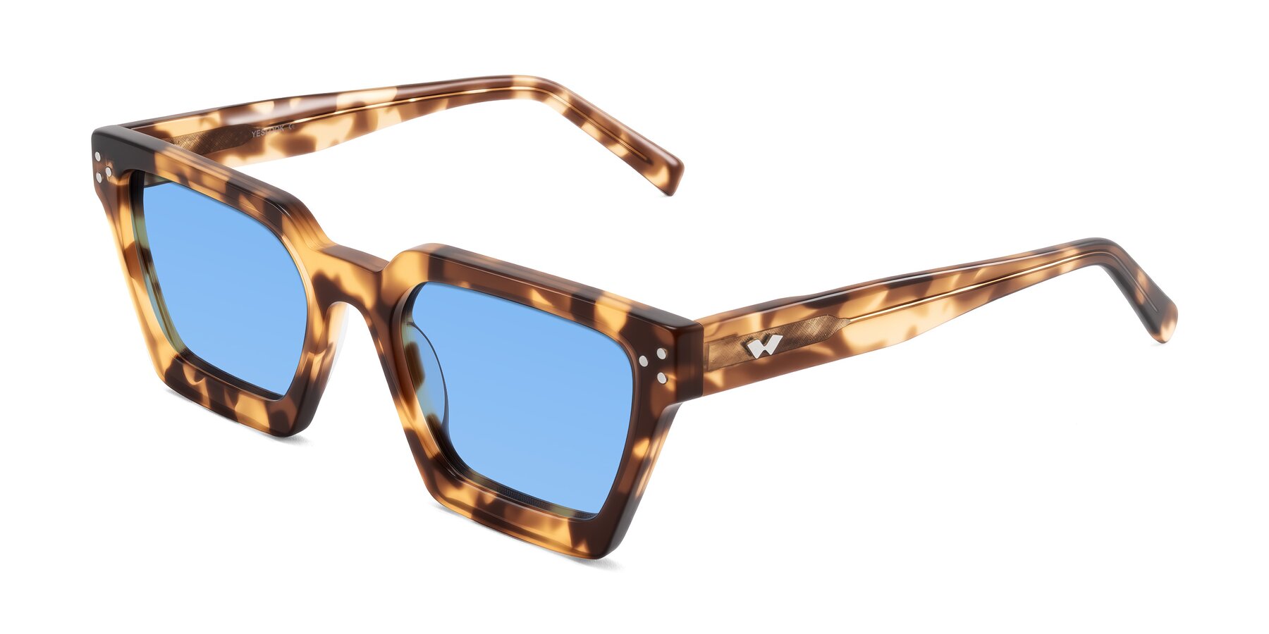Angle of Callan in Honey Tortoise with Medium Blue Tinted Lenses