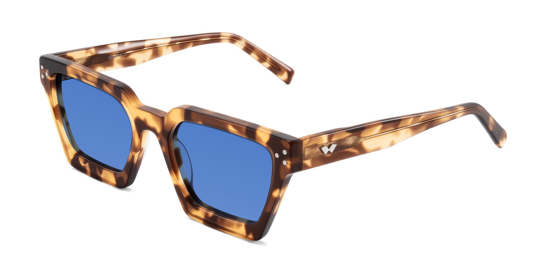 Angle of Callan in Honey Tortoise with Blue Tinted Lenses