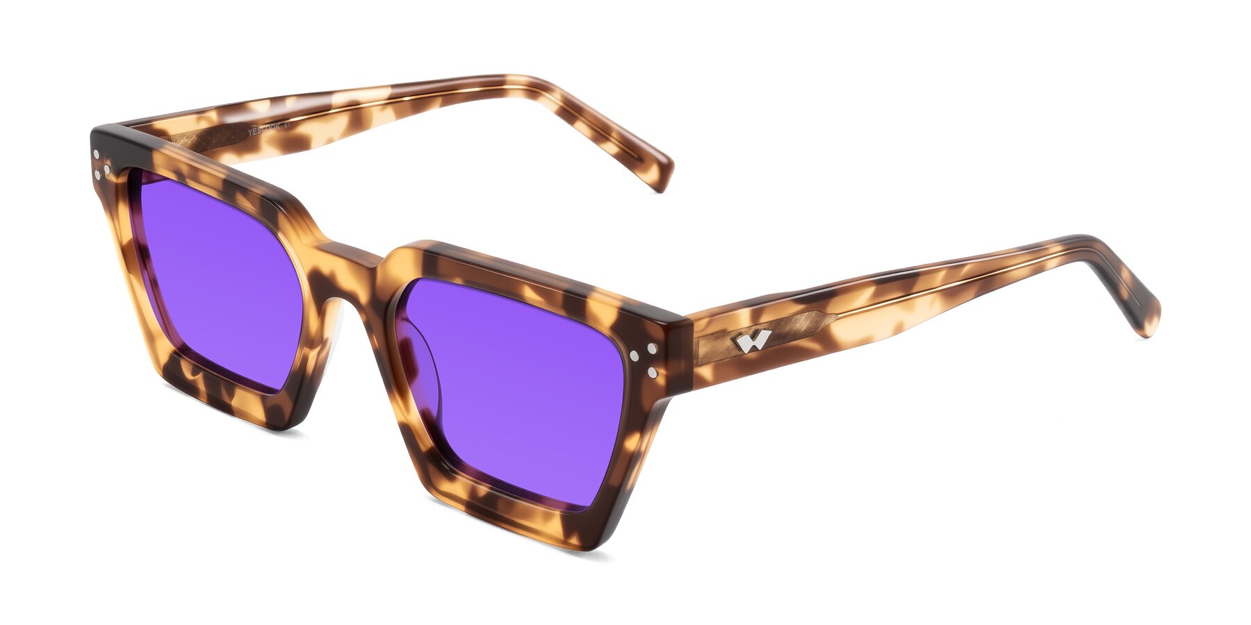 Angle of Callan in Honey Tortoise with Purple Tinted Lenses