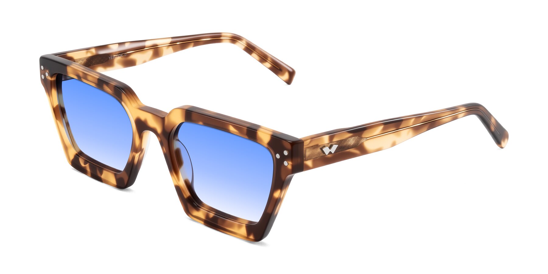 Angle of Callan in Honey Tortoise with Blue Gradient Lenses