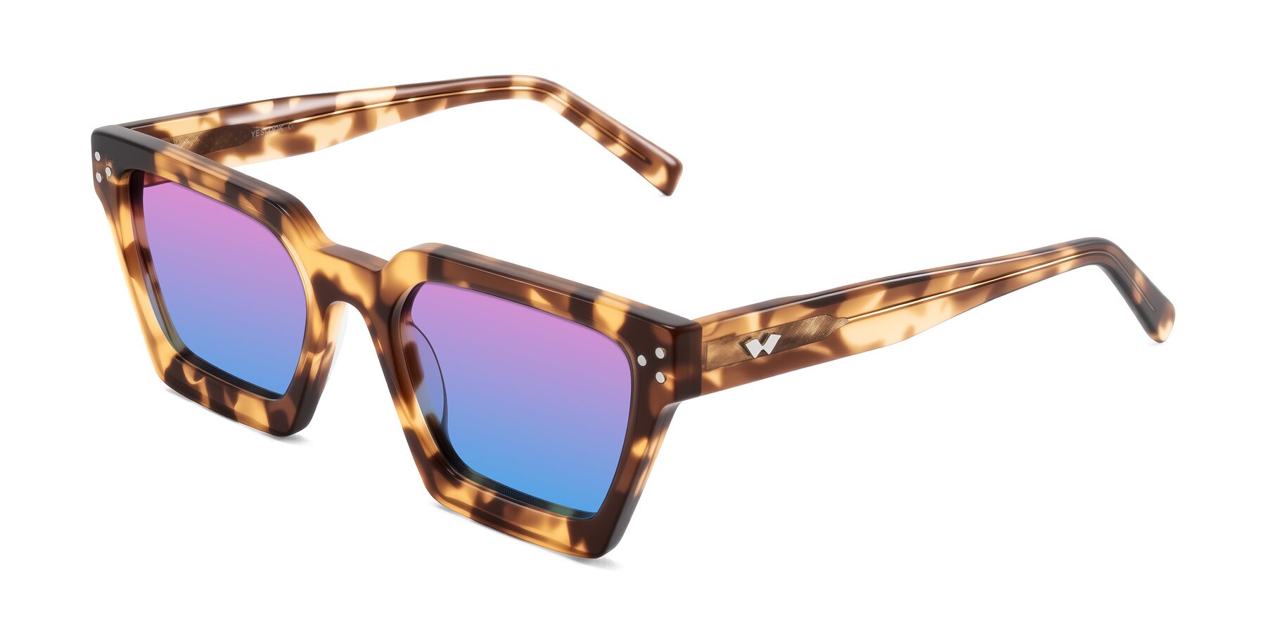 Angle of Callan in Honey Tortoise with Pink / Blue Gradient Lenses