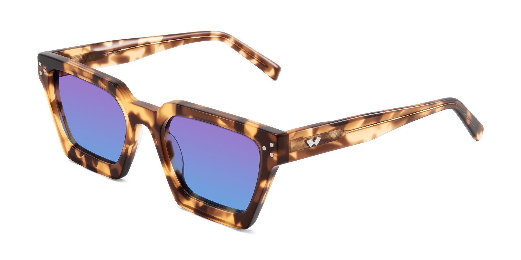 Angle of Callan in Honey Tortoise with Purple / Blue Gradient Lenses