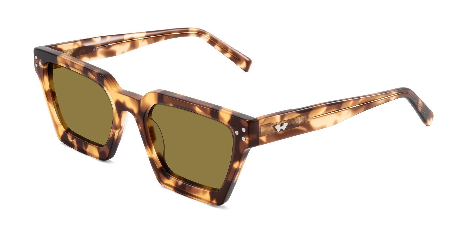 Angle of Callan in Honey Tortoise with Brown Polarized Lenses