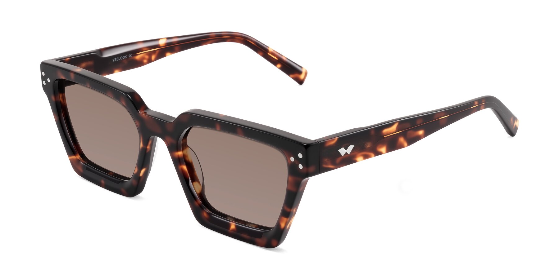 Angle of Callan in Tortoise with Medium Brown Tinted Lenses