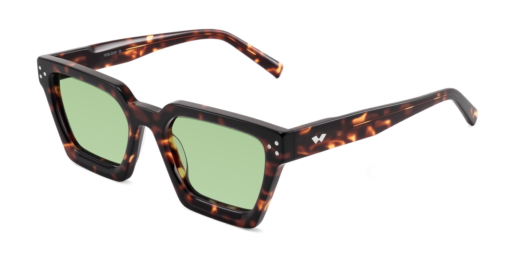 Angle of Callan in Tortoise with Medium Green Tinted Lenses