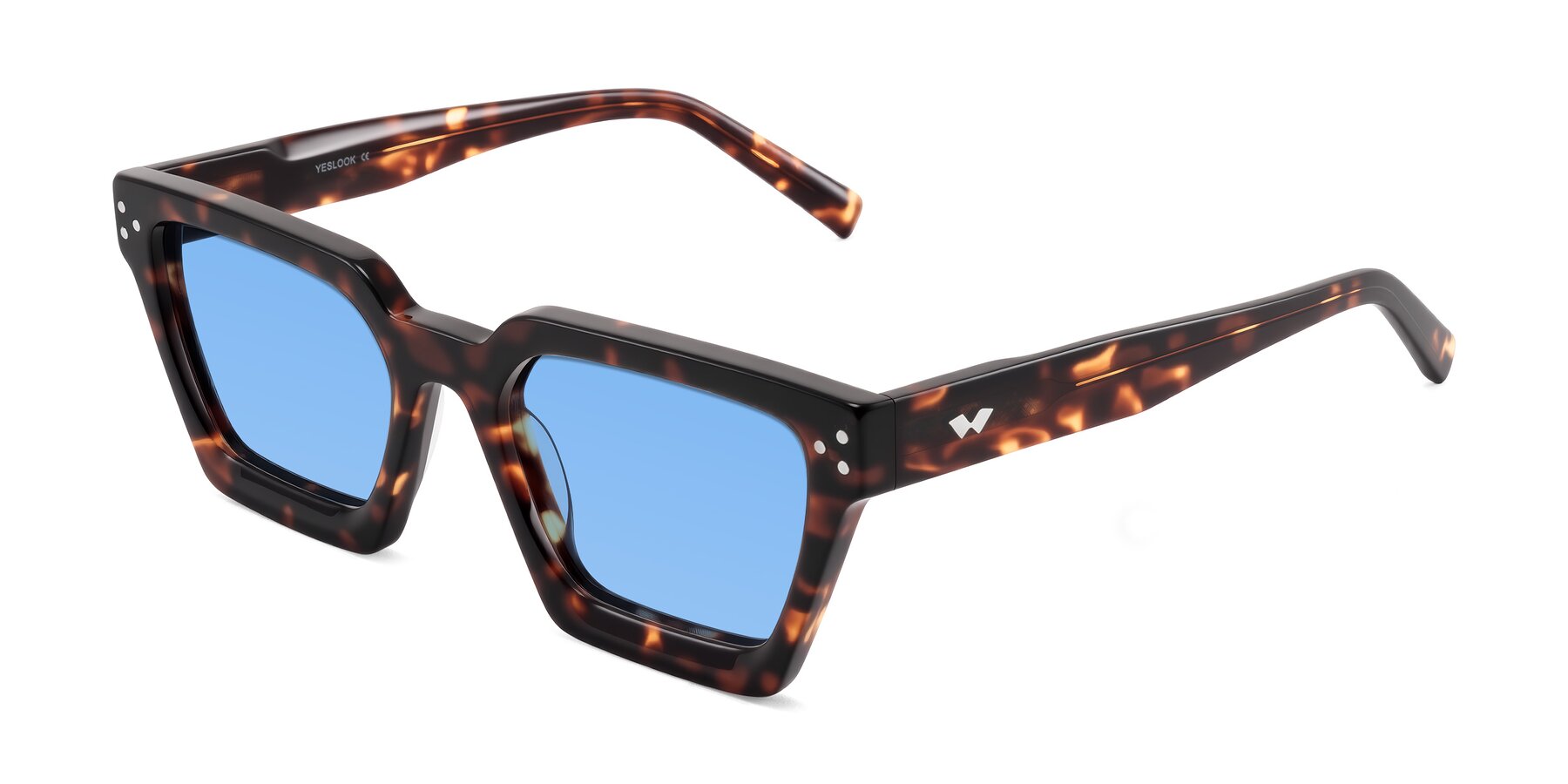 Angle of Callan in Tortoise with Medium Blue Tinted Lenses