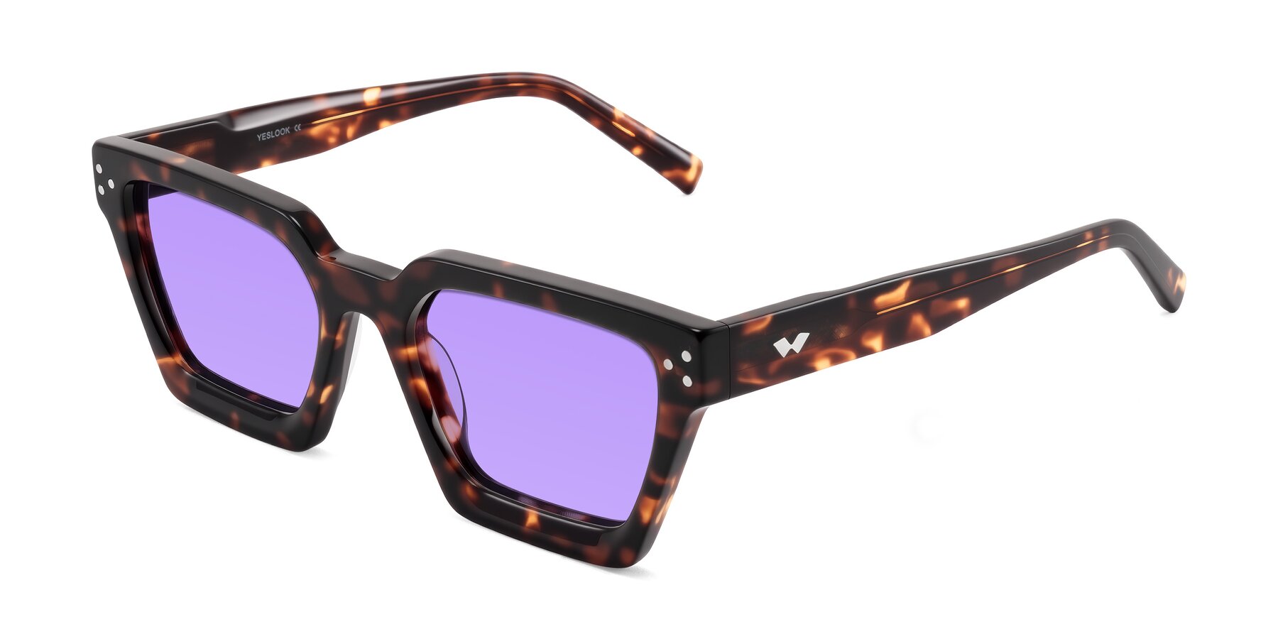 Angle of Callan in Tortoise with Medium Purple Tinted Lenses