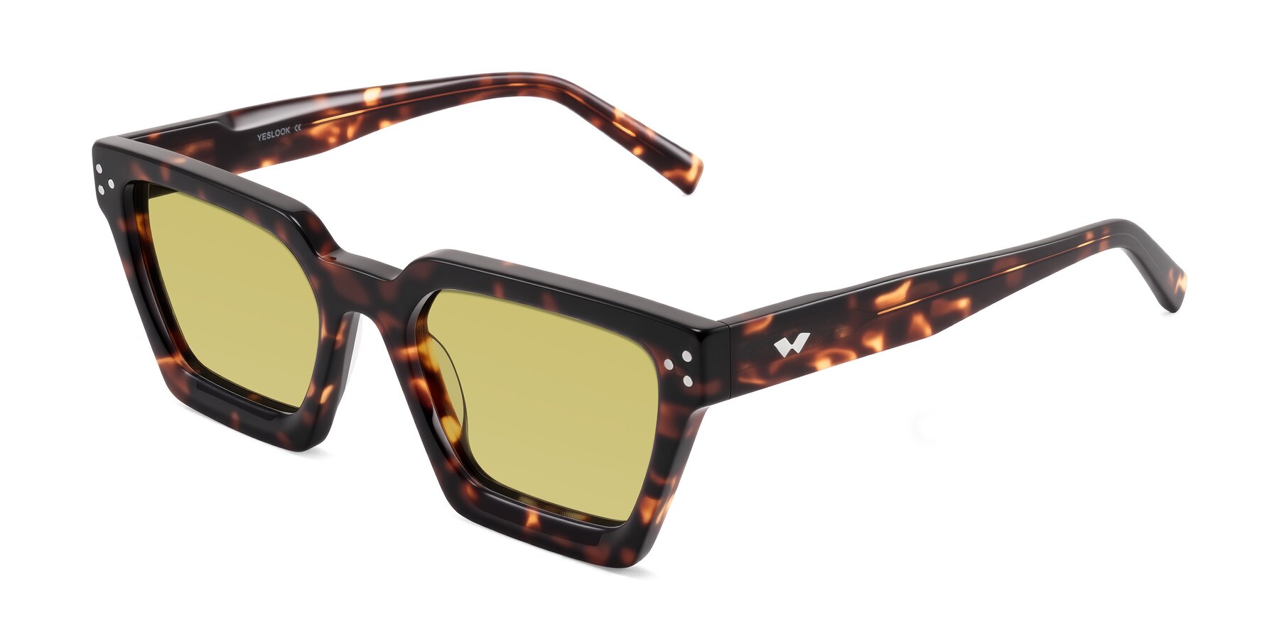 Angle of Callan in Tortoise with Medium Champagne Tinted Lenses