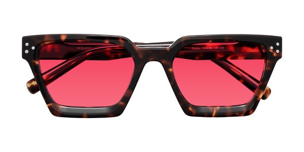 Front of Callan in Tortoise