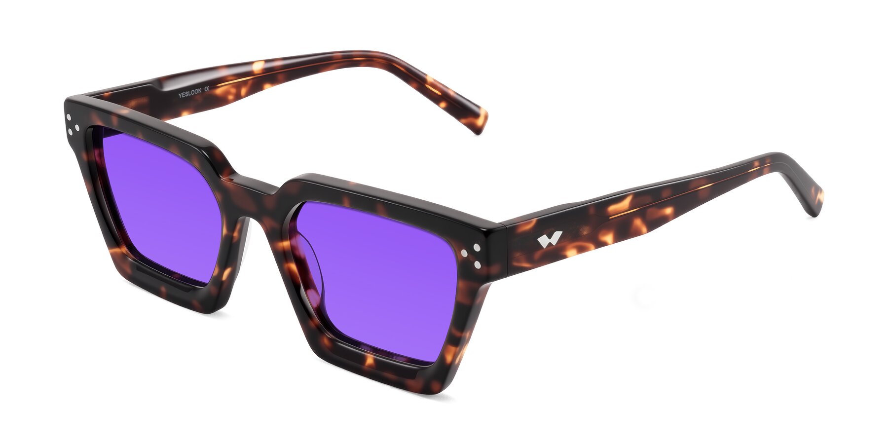 Angle of Callan in Tortoise with Purple Tinted Lenses
