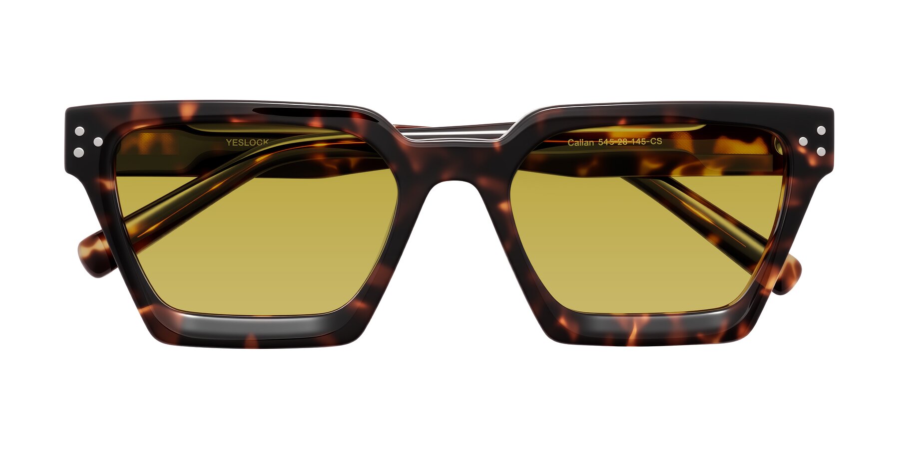 Folded Front of Callan in Tortoise with Champagne Tinted Lenses