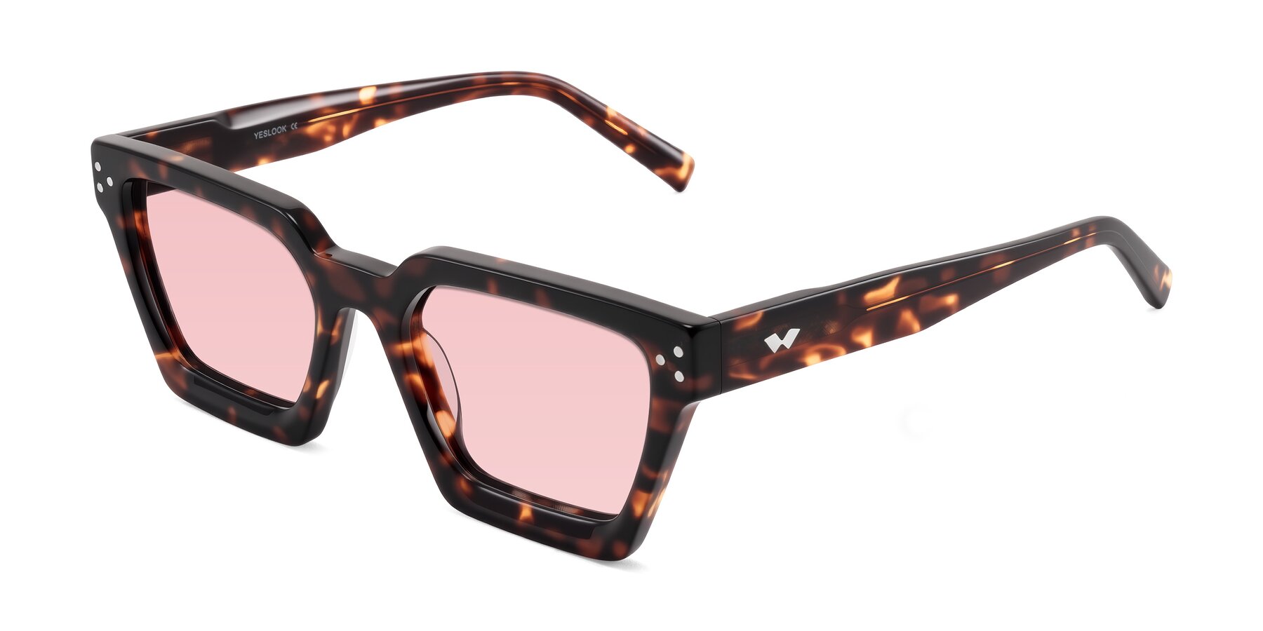 Angle of Callan in Tortoise with Light Garnet Tinted Lenses