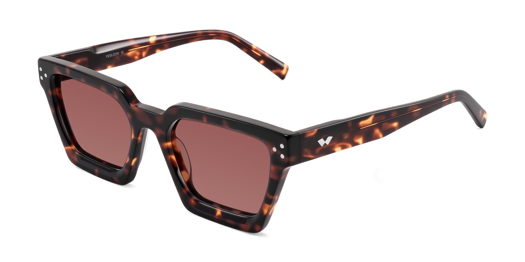 Angle of Callan in Tortoise with Garnet Tinted Lenses