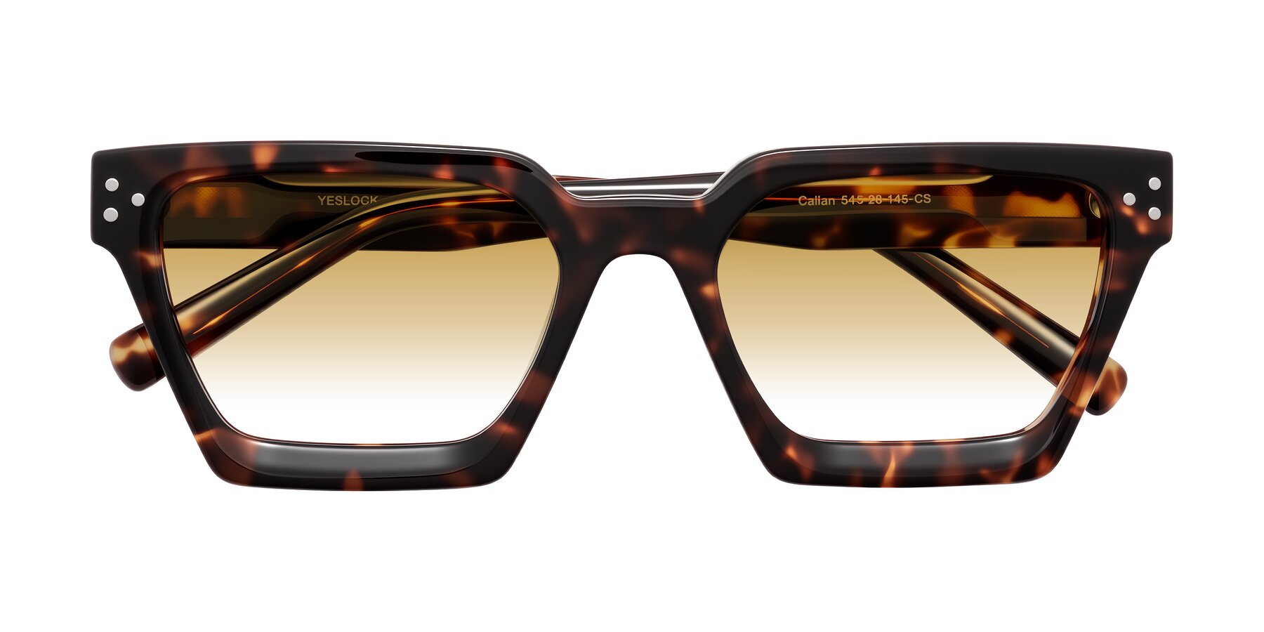 Folded Front of Callan in Tortoise with Champagne Gradient Lenses