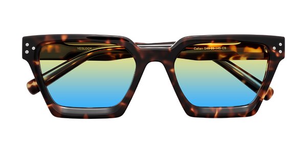 Front of Callan in Tortoise